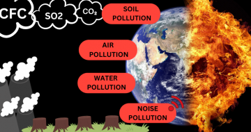 types of pollution